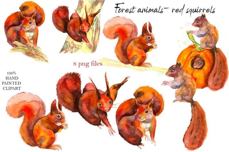 forest-animals-red-squirrels-watercolor-collection-clipart