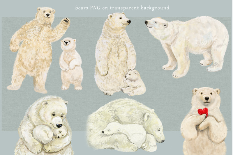 polar-bear-clipart-illustrations