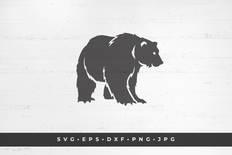 big-bear-isolated-on-white-background-vector-illustration-svg-png-d