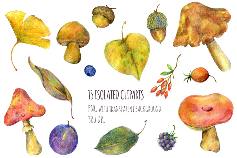colorful-fall-watercolor-isolated-cliparts-and-patterns