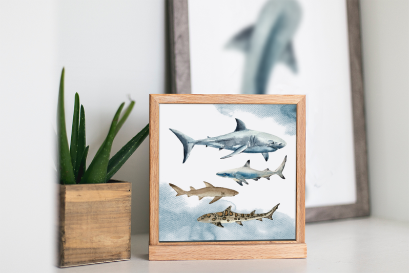 watercolor-sharks-clip-art-set