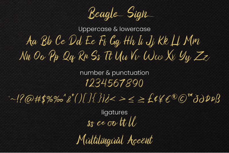 beagle-sign-signature-font