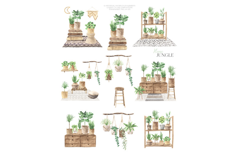 home-jungle-boho-plants-set