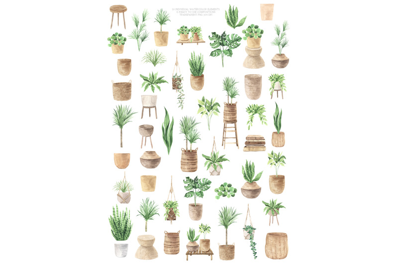 home-jungle-boho-plants-set