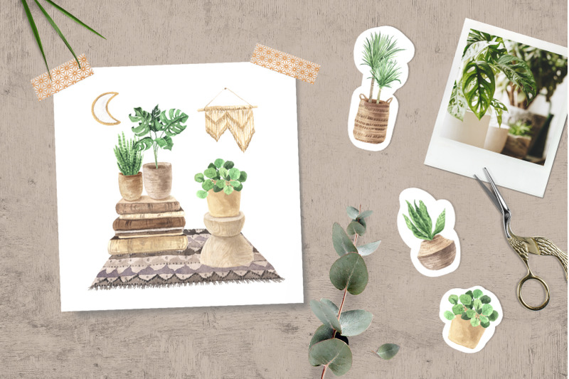 home-jungle-boho-plants-set