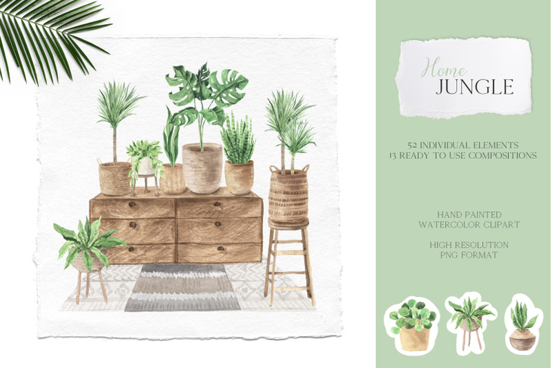 home-jungle-boho-plants-set