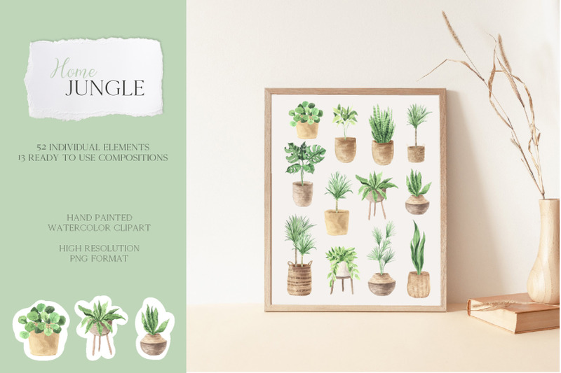 home-jungle-boho-plants-set