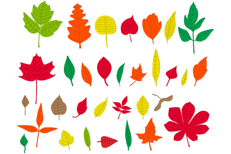 autumn-leaves-vector-clipart-set