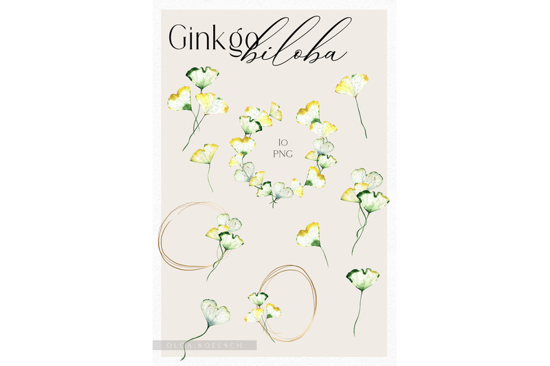 watercolor-ginkgo-biloba-clipart-boho-floral-clipart-green-leaf