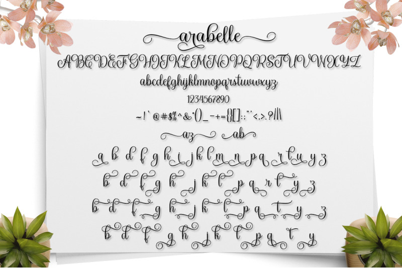 arabelle-script