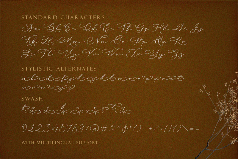 wisteria-notes-modern-script-font
