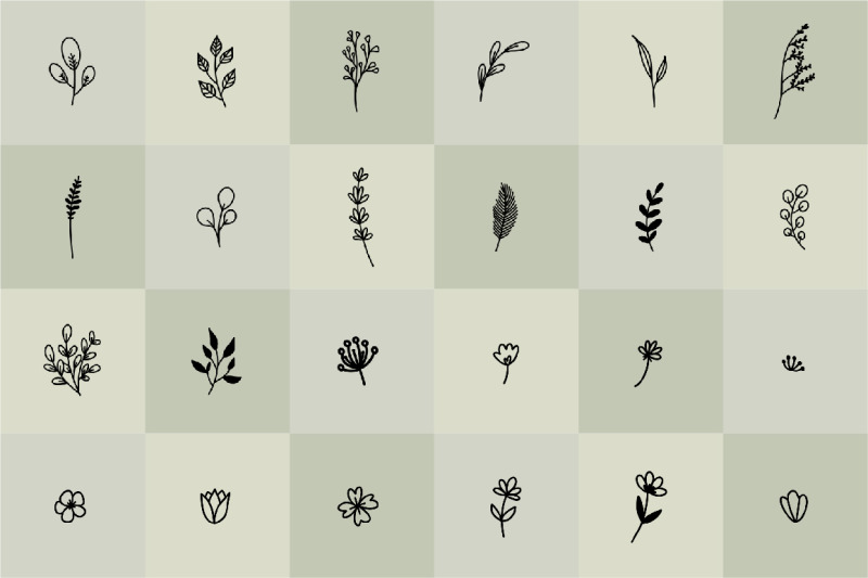 wildflower-and-herbs-hand-drawn-clip-art-pack