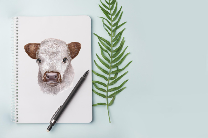 watercolor-set-cute-cow-and-ox-illustrations-8-cows