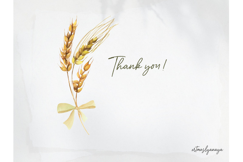 watercolor-wheat-amp-pampas-grass-clipart-in-png-boho-botanics