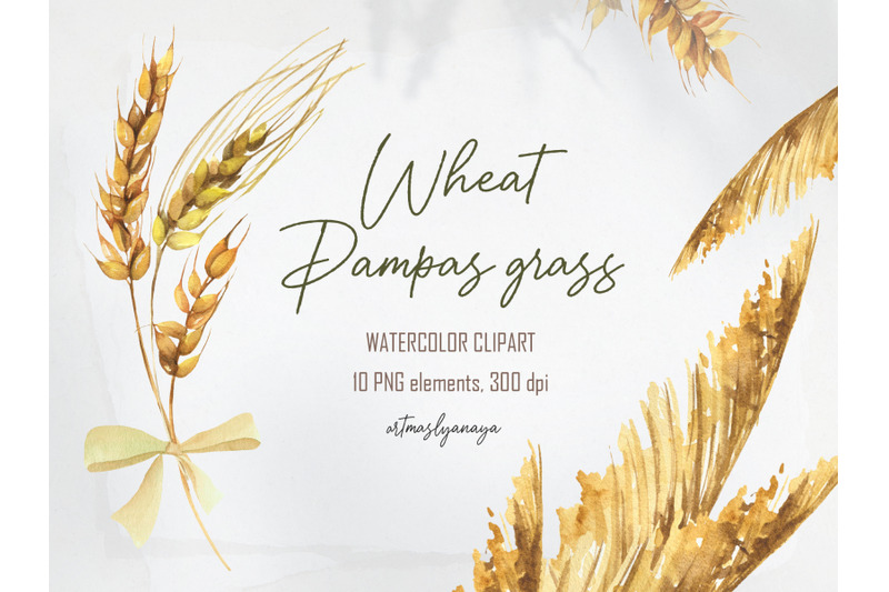 watercolor-wheat-amp-pampas-grass-clipart-in-png-boho-botanics