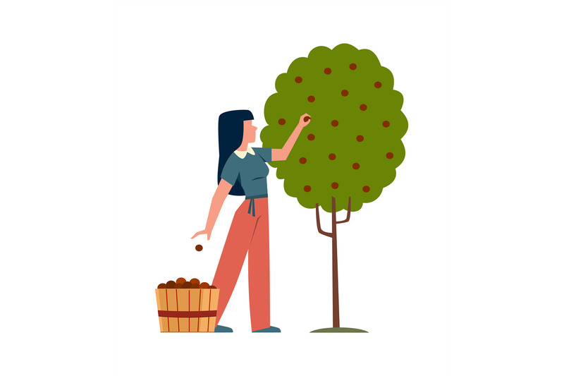 woman-in-garden-female-character-harvesting-apples-in-basket-from-tre