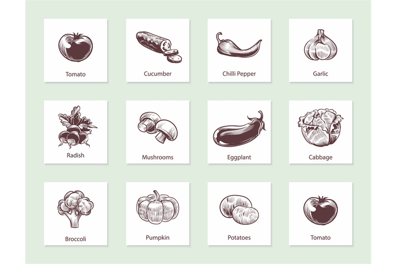vegetables-slide-set-templates-for-label-design-with-hand-drawn-linea