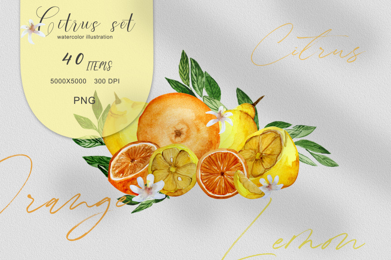 png-watercolor-citrus-illustrations-set