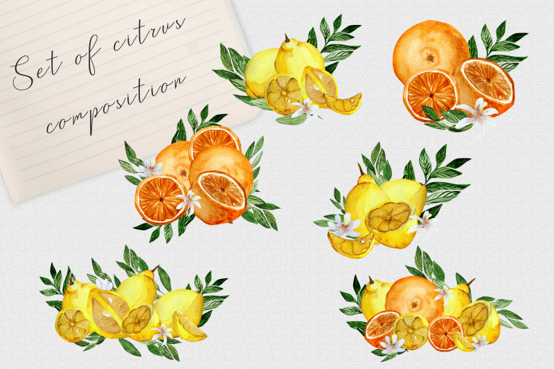 png-watercolor-citrus-illustrations-set