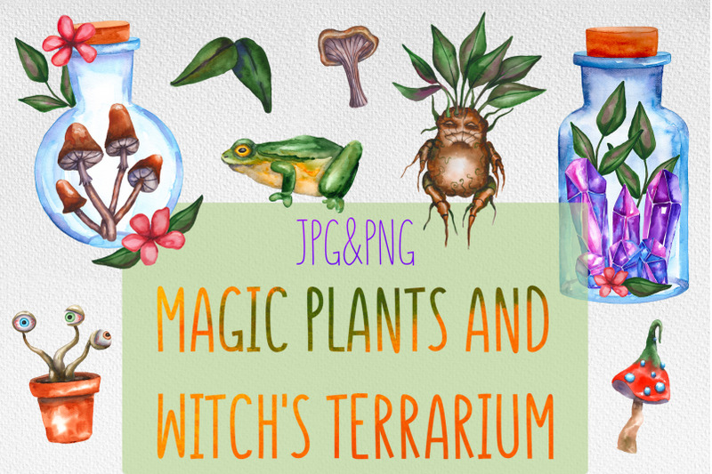 magic-plants-and-witch-039-s-terrariums