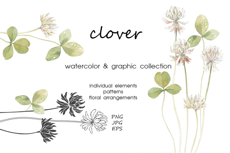 clover-watercolor-amp-graphic