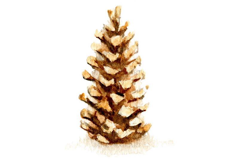 pine-cone-watercolor-illustration-seamless-pattern