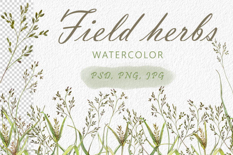 field-herbs