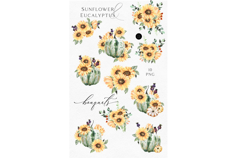 Download Watercolor sunflower clipart Pumpkin png fall Eucalyptus ...