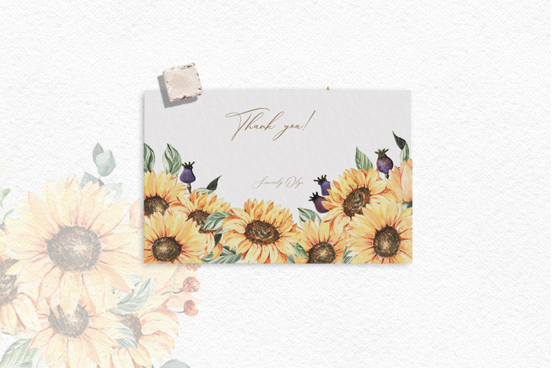 Download Watercolor sunflower clipart Pumpkin png fall Eucalyptus ...