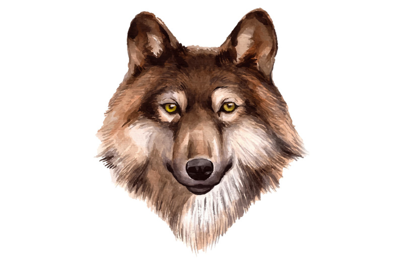 watercolor-forest-wolf-vector