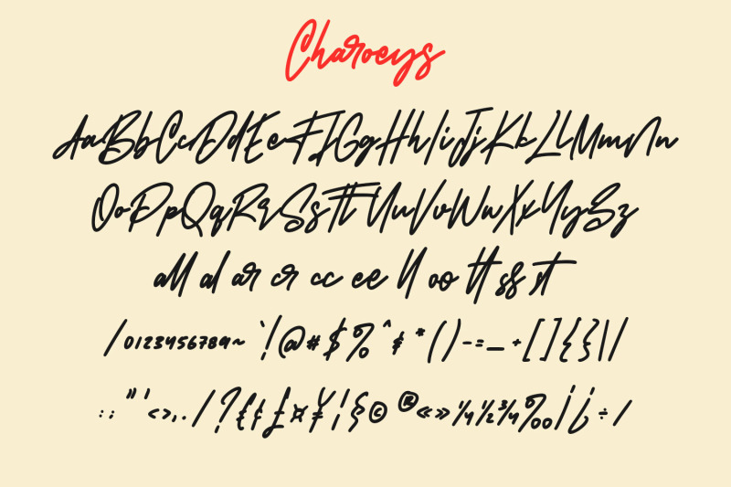 charoeys-handwritten-script-font