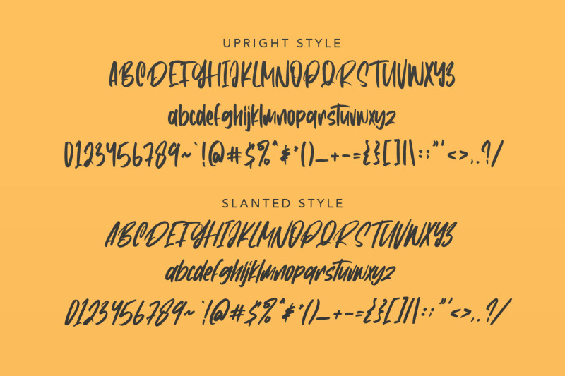 constaniz-typeface