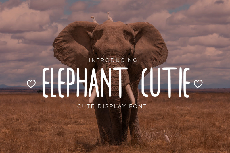 elephant-cutie-handwritten-display-font