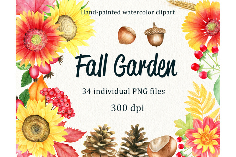 watercolor-fall-floral-and-forest-elements-floral-autumn-png