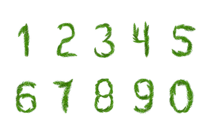 a-set-of-numbers-from-fir-branches