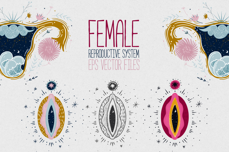 female-reproductive-system-vagina