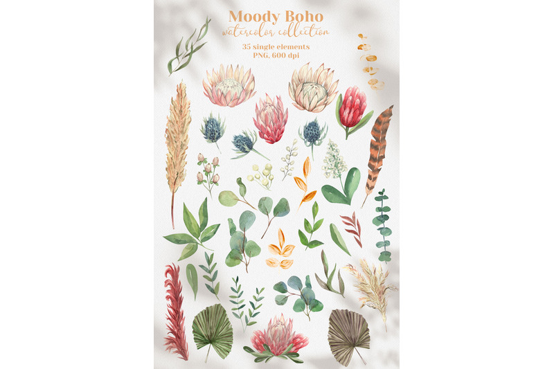 moody-boho-floral-watercolor-set-protea-amp-eucalyptus-frames