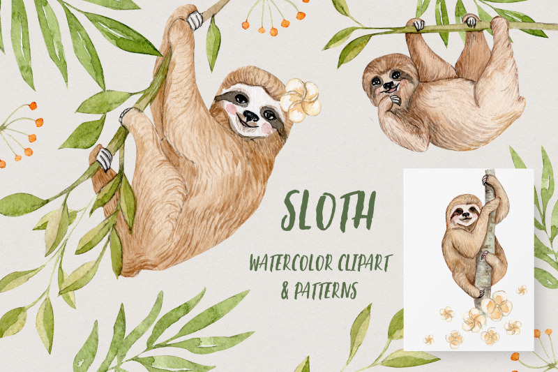 watercolor-sloths-clipart-and-seamless-patterns-collection