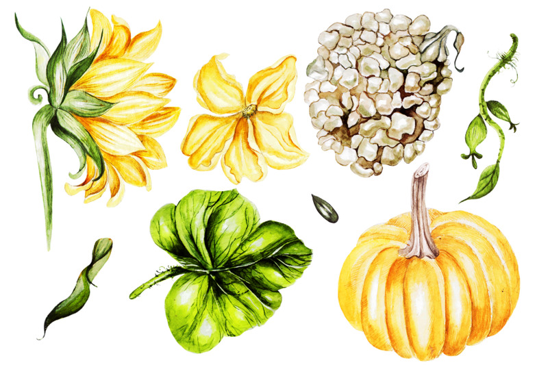 watercolor-sunflower-amp-pumpkins-2