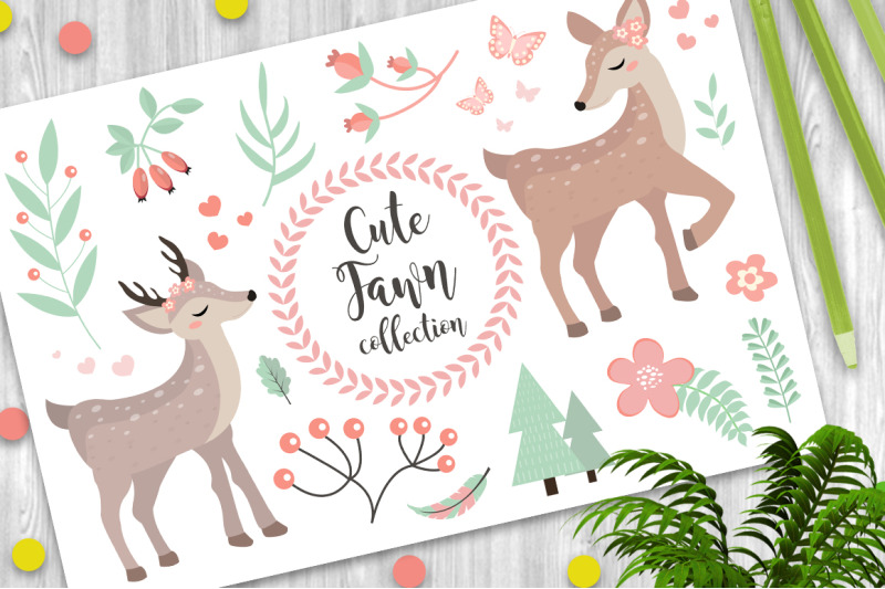 cute-fawn-collection