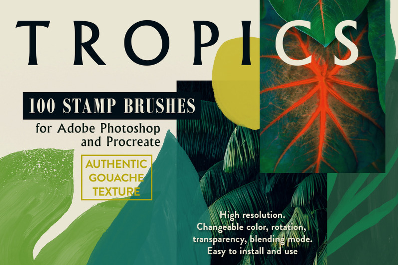 tropics-photoshop-amp-procreate-brushes