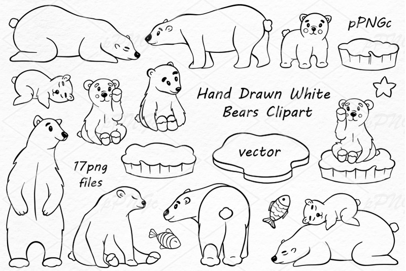 hand-drawn-white-bears-clipart