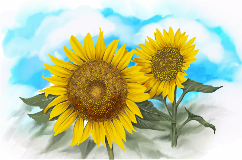 Download watercolor-autumn-sunflowers-vector By Mete Humay ...