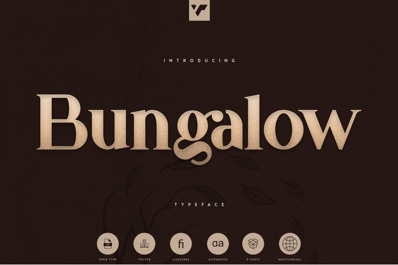 bungalow-typeface-9-fonts