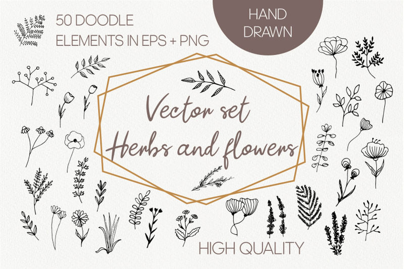 vector-organic-herbs-and-flowers