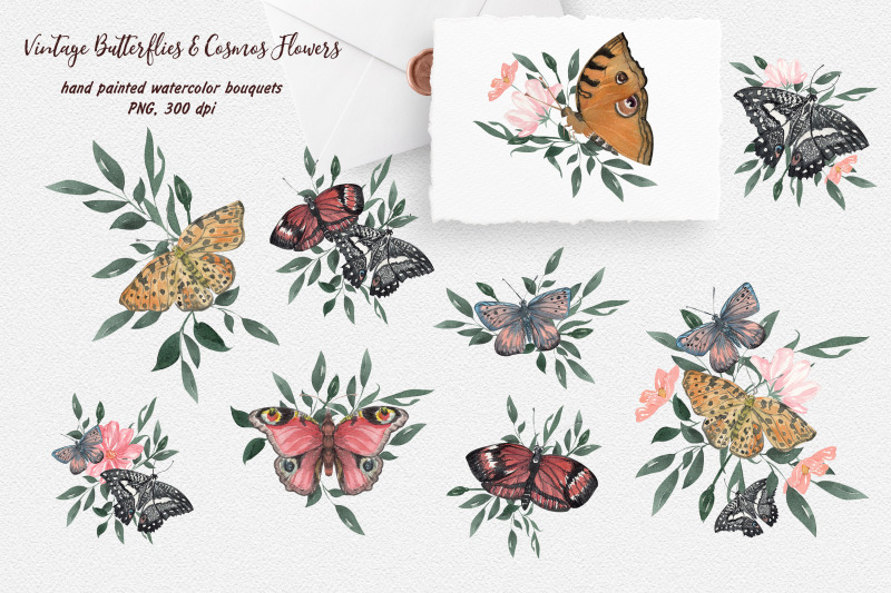 vintage-butterflies-and-cosmos-flowers-watercolor-collection