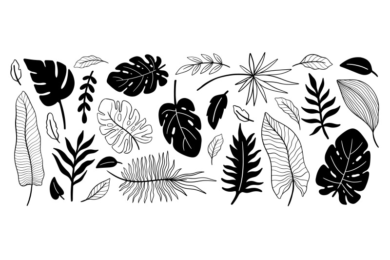 plant-collection-black-color