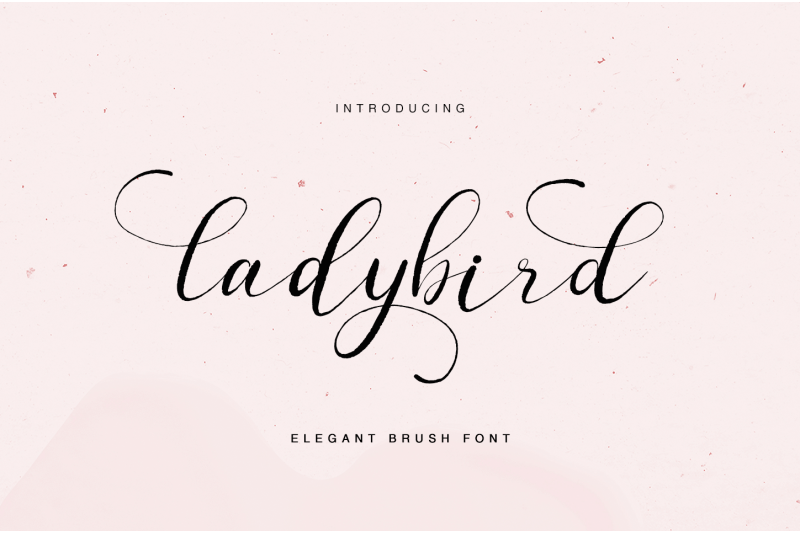 ladybird-elegant-brush-font