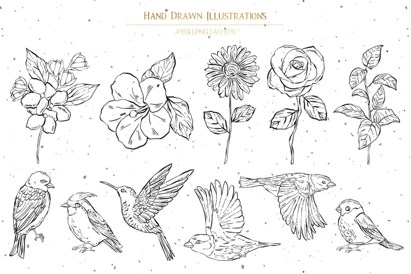 flowers-and-birds-illustrations