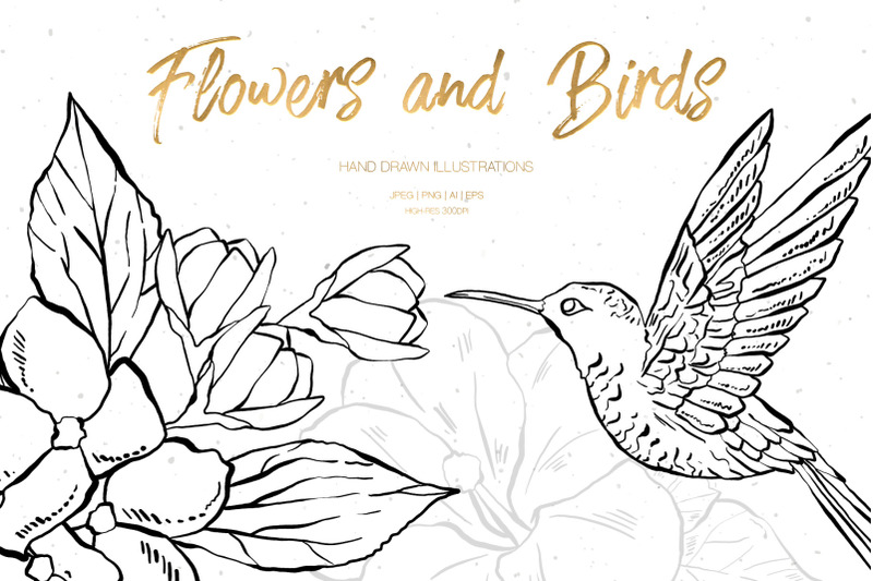 flowers-and-birds-illustrations